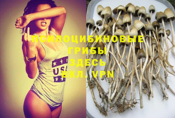 мяу мяу мука Надым