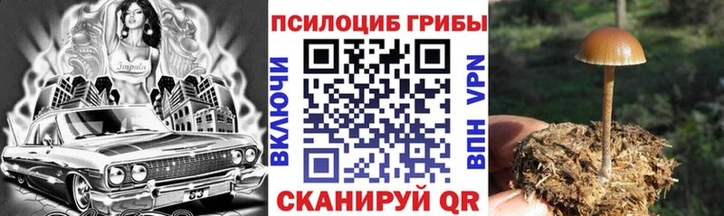 МЕГА ССЫЛКА  Монино  Псилоцибиновые грибы Psilocybe 
