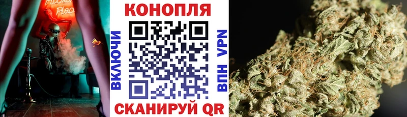 Конопля марихуана Монино